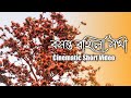 Bosonto bohilo sokhi || Ankita Bhattacharya || Short video