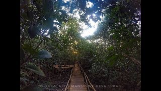 preview picture of video 'Capturing "Wisata Hutan Mangrove" Desa Tukak Kec. Tukak Sadai Kab. Bangka Selatan'