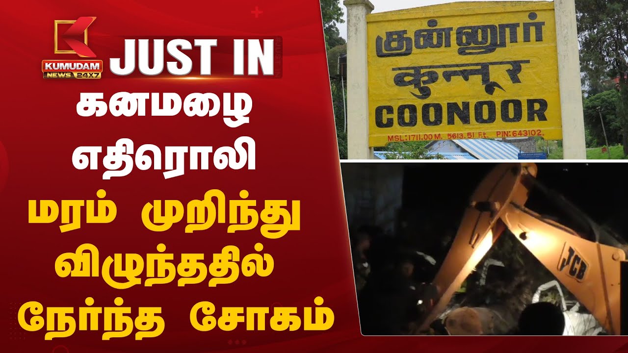 கனமழை எதிரொலி; மரம் முறிந்து விழுந்ததில் நேர்ந்த சோகம்