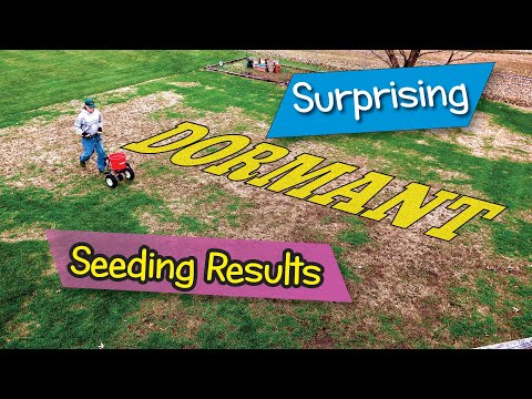 Surprising Fall Dormant Seeding Results