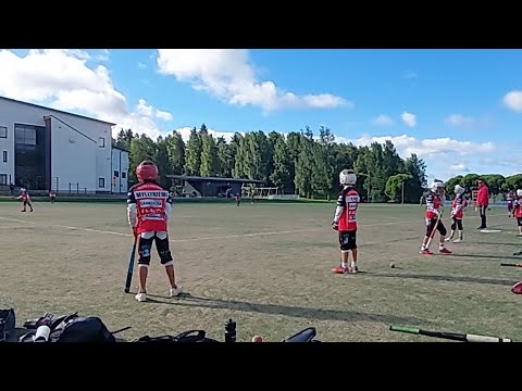 Naperoleiri KoU - SoJy Violetti