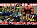 【筋トレ】減量中の胸のトレーニングでダンベルベンチプレス50kgに挑戦!4種目で大胸筋全体を鍛える【解説付】