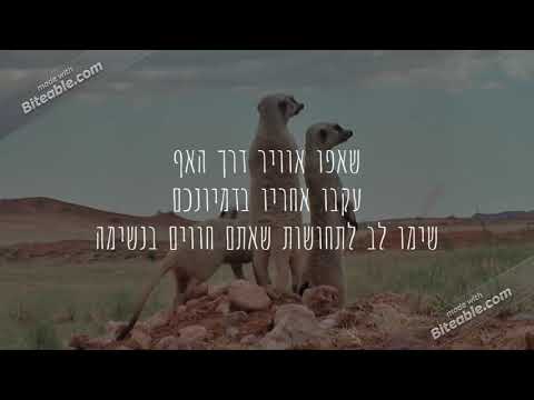 קשיבות
