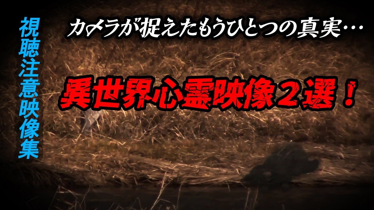 【視聴注意映像集】カメラが捉えたもうひとつの真実…　異世界心霊映像２選！
