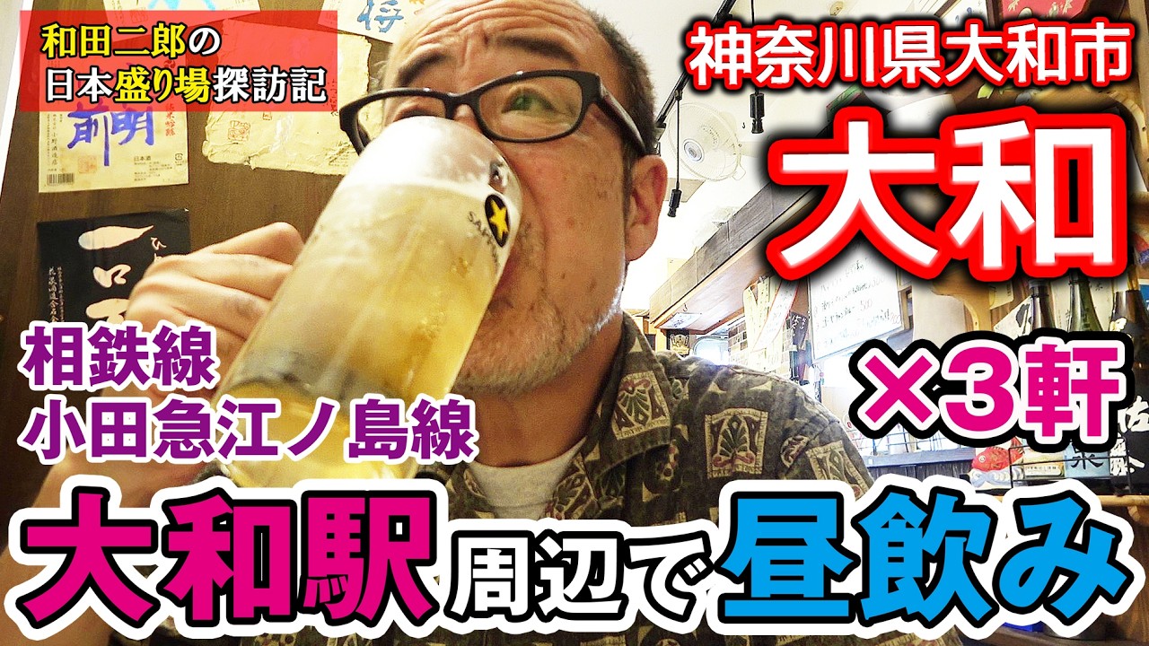 神奈川県大和市 大和駅周辺で昼飲み×3軒【和田チャンネル飲み散歩】