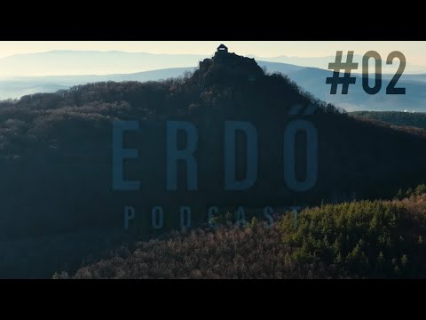 Erdő Podcast #02 - Set and setting, avagy a varázsgomba használatának optimalizálása