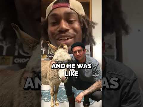 How Casey Starling got Sponsored by Kink | #KanodeKnows Episode out now.  @DIGBMXOfficial #bmx