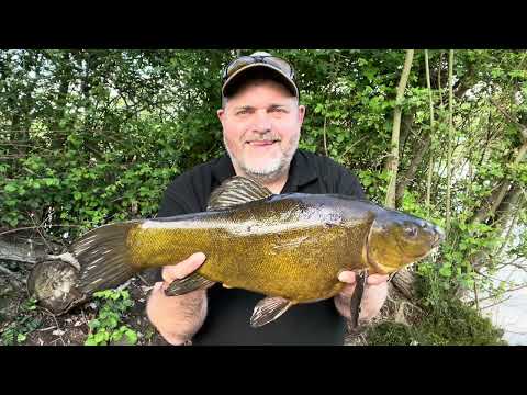 The Summer Sessions: Part 1 - Tench