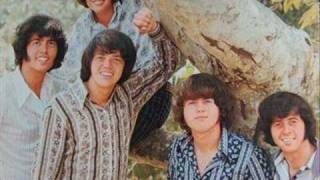 The Osmonds (song) We All Fall Down