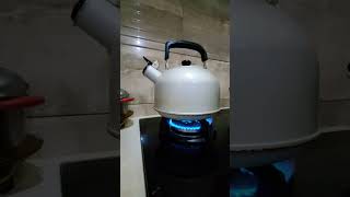 Download lagu Suara Pluit ketel air mendidih mp3 Download lagu Suara Pluit ketel air mendidih mp3