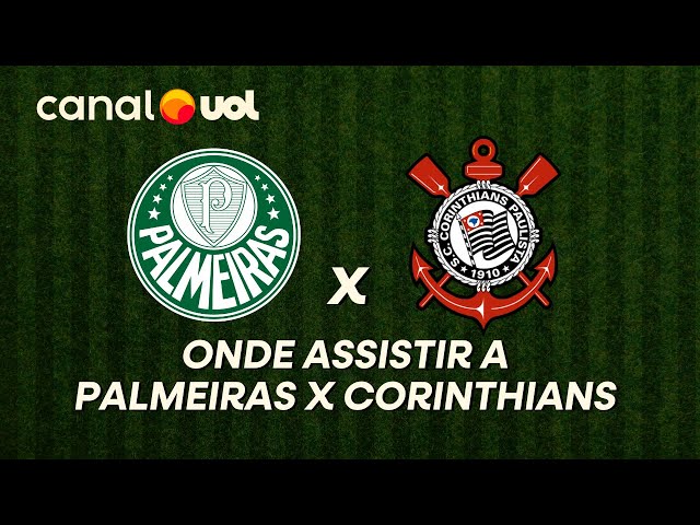 Jogo do Palmeiras hoje (12) pelo Brasileirão: horário e onde assistir