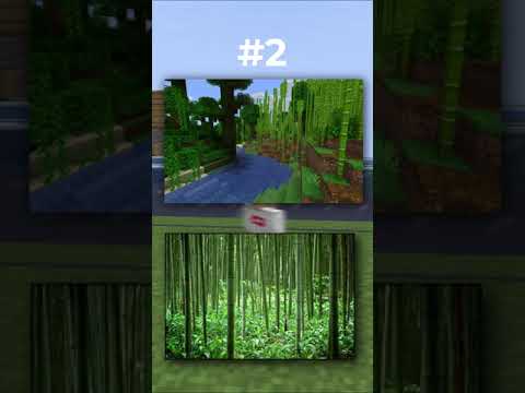 Jastreak - Minecraft Biomes In Real Life Part 1 #shorts