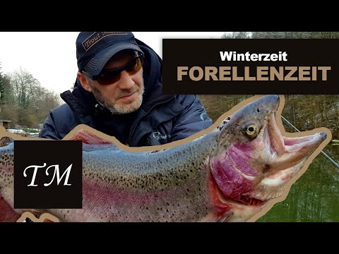 Winter ist Forellenzeit - Erfolgreich am Forellenteich