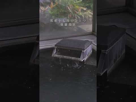 大人の時間を愉しむ温泉宿｜箱根風雅