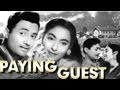 Paying Guest Trailer