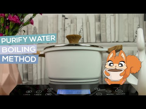 How To Purify Water At Home | Purifying Water With Boiling Method | Remove Bacteria From Tap Water