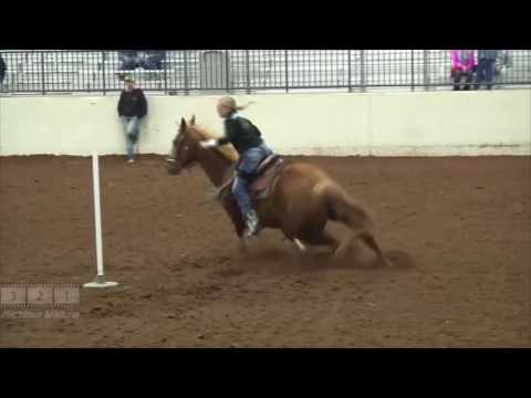 Sun Poles #29 Laney Nicole Whitfield on Gold Ribbon Chic