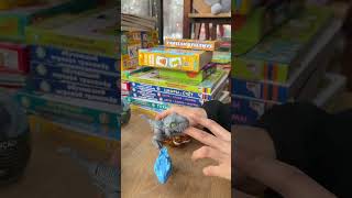 Динозавр-кусака в яйце в ассортименте