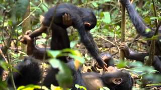 "Anti City" by RutiCelli