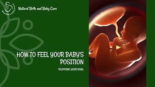 How to Feel Your Baby