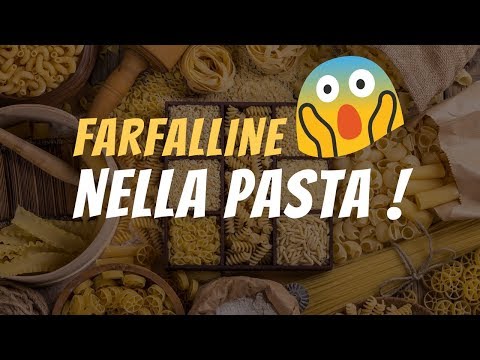 download lagu mp3 mp4 Pasta Farfalline, download lagu Pasta Farfalline gratis, unduh video klip Pasta Farfalline