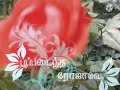 Putham Puthu Rojave Whatsapp Status