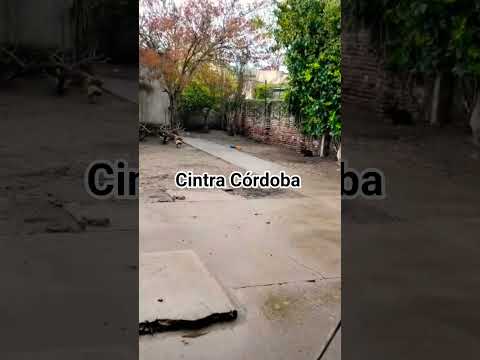 #cordoba #cintra #lluvia