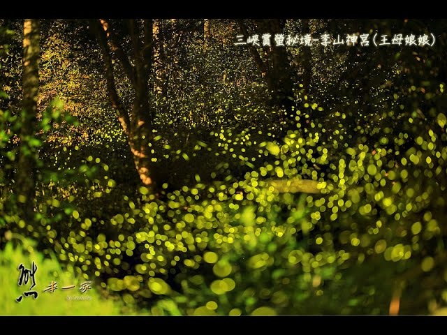 李山神宮|王母娘娘廟~私房賞螢秘境