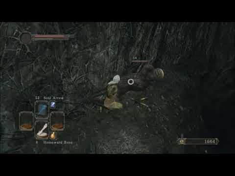 DS2 - SOTFS: Things Betwixt Shortcut Jump that nobody talks about