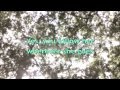 Lost In The Girl - Kwamie Liv (Lyrics on Screen ...