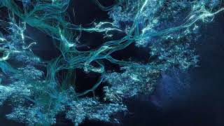 Terra Mater Factual Studios (2012)