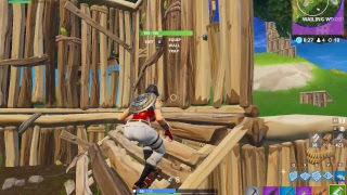 Fortnite Solos- DED Inside