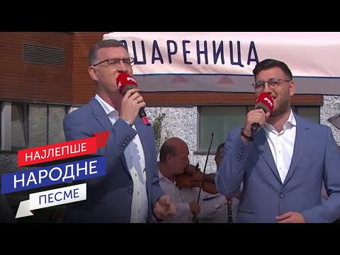 Aleksandar i Dimitrije Kazić - Led led sladoled