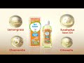 PERTAMA Di Indonesia MY BABY Minyak Telon Plus Longer Protection 12 Jam