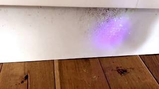 Album cover: Featured photos