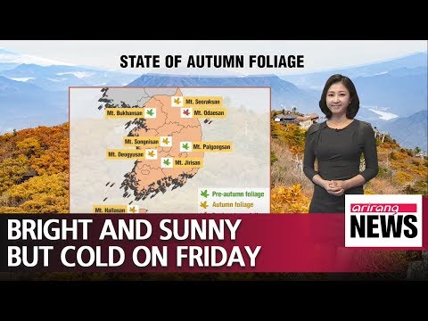 Bright and sunny but cold on Friday _ 101118