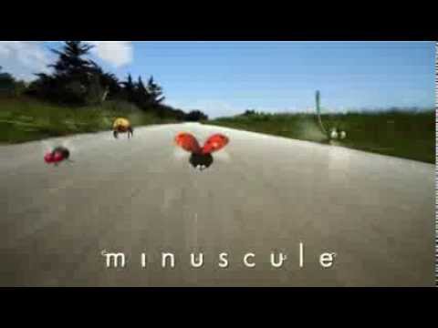 Thumbnail of the video: Minuscule - Spot TV