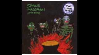 Shane MacGowan - Joey's in America