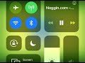 The Last Day Of Noggin Com And Dailynoggin Com