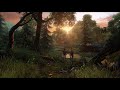 The Last Of Us Relaxing Music Compilation