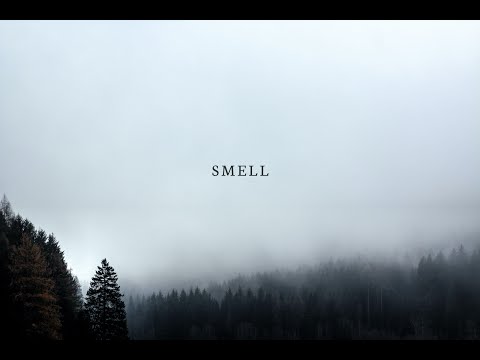 Samuke - Smell