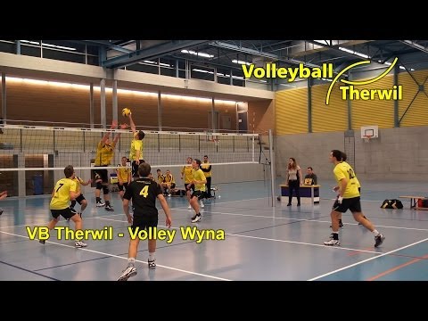 2014-01-04 VB Therwil Herren 1 - SV Volley Wyna