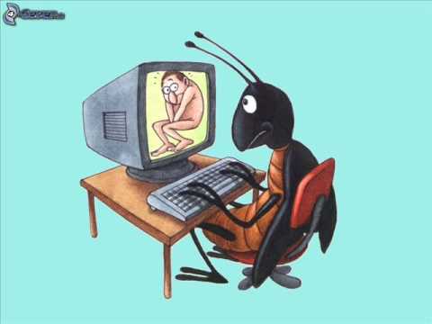 Zhlavyzvuk - Hráči