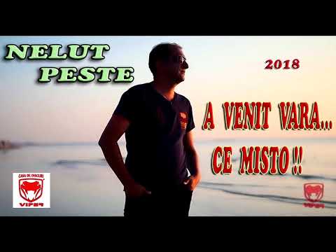 Nelut Peste – A venit vara, ce misto Video