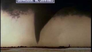 Dry Cell velvet elvis