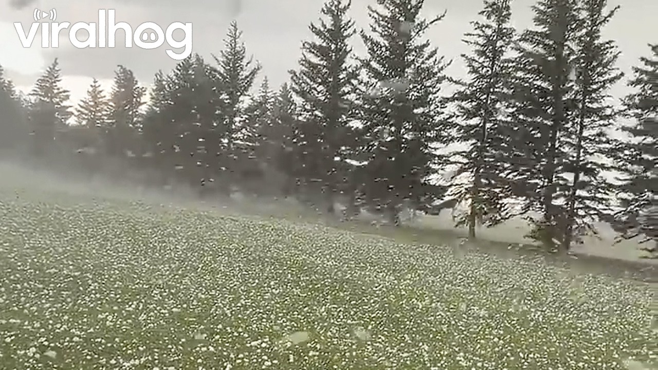 Girls' Golf Trip Ruined by Sudden Hail || ViralHog