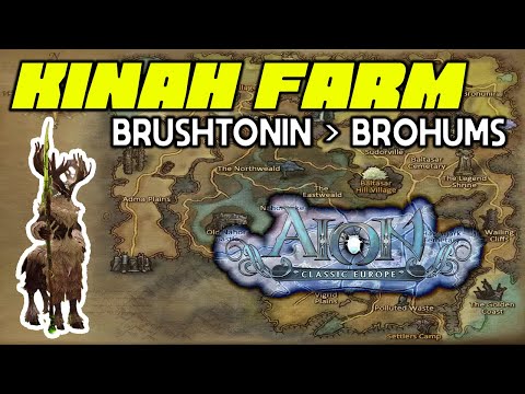 Aion Classic EU Easy Kinah Farm (Brohums)