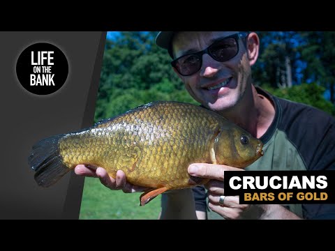 CRUCIAN CARP FISHING | Float and Feeder