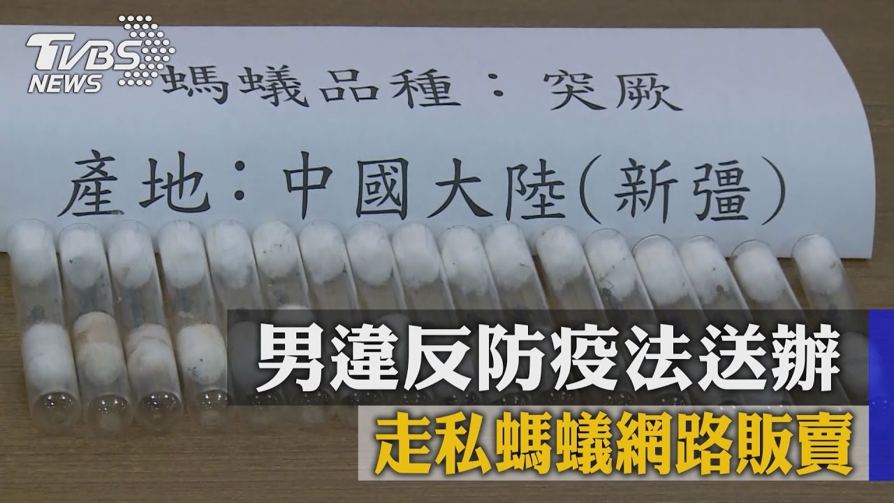 走私螞蟻網路販賣　男違反防疫法送辦