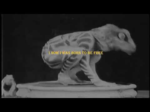 Video thumbnail for COLD SHOULDER